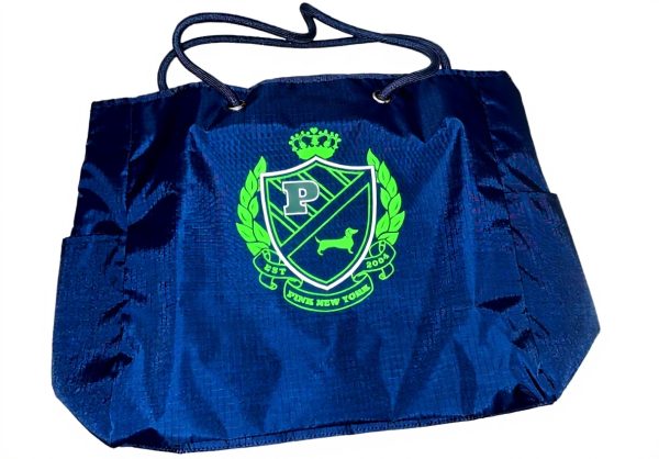 Victorias Secret Pink Reversible Canvas Tote Bag Blue Green