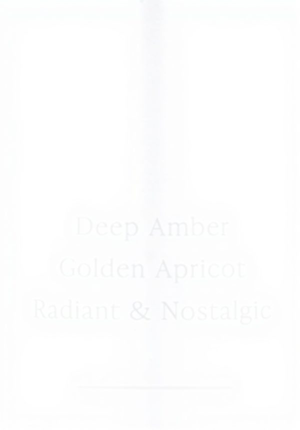 Amber Romance Body Mist Victorias Secret Women Fragrance