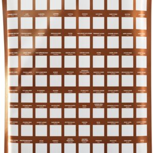 World Beers Scratch Off Poster UK Made Interactive Gift-0