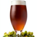 Brewers Publications Beer Book Fourth Edition English 608-0