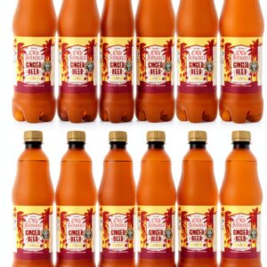 Old Jamaica Ginger Beer 500ml Bottles-0