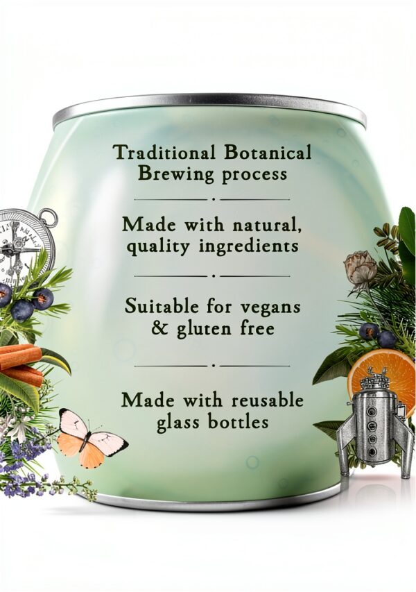 Fentimans Ginger Beer 250ml Cans Botanical Brew-3