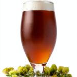 Beer Brewing Guide Brewers Publications eBook 4th-0